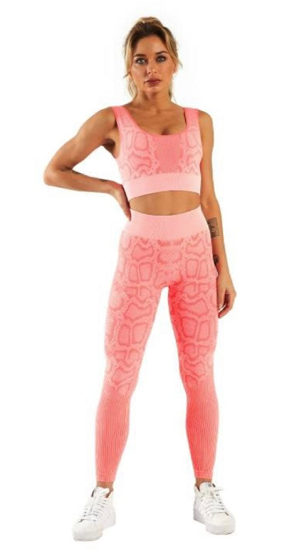 Leopard Crop Top and Legging Set