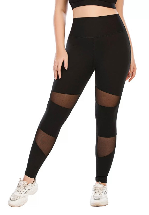 Plus Sheer Two-Piece Leggings Set